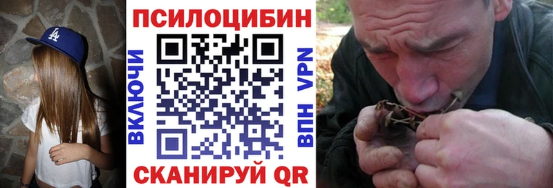 блэк спрут онион купить закладку Дубовка Галлюциногенные грибы MAGIC MUSHROOMS